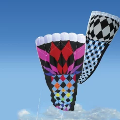 Collections Kites Rieleit Foil 20 Kite - Rainbow Collections