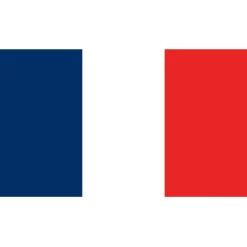 Collections Kites Flag Kite - France