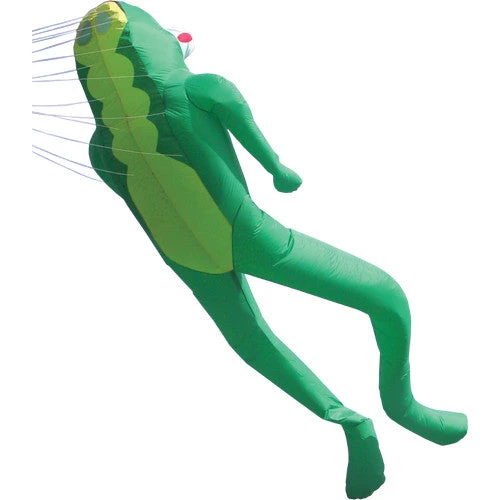 Collections Kites Collections 4.2 M Le Frog Kite 1 Collections Kites Collections 4.2 M Le Frog Kite