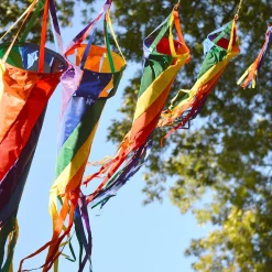 WindGarden 12 In. Spinsock - Rainbow