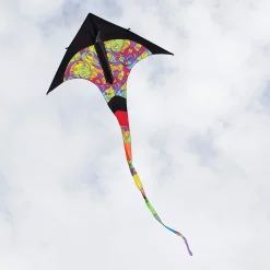 Kites T-Delta Kite - Rainbow Orbit Premier Kites