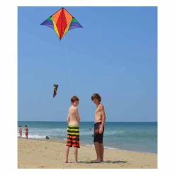 Kites Gyro Delta Kite - Rainbow Premier Kites