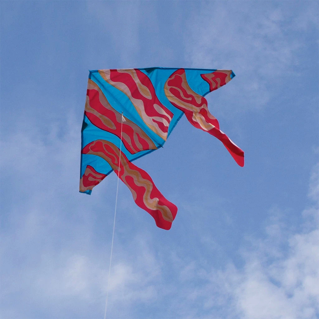 Kites 56 In. Delta Kite - Bacon Premier Kites 3 Kites 56 In. Delta Kite - Bacon Premier Kites