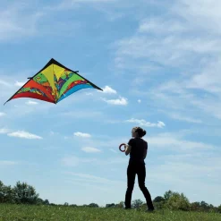 Kites 9 Ft. Delta Kite - Rainbow Orbit Premier Kites