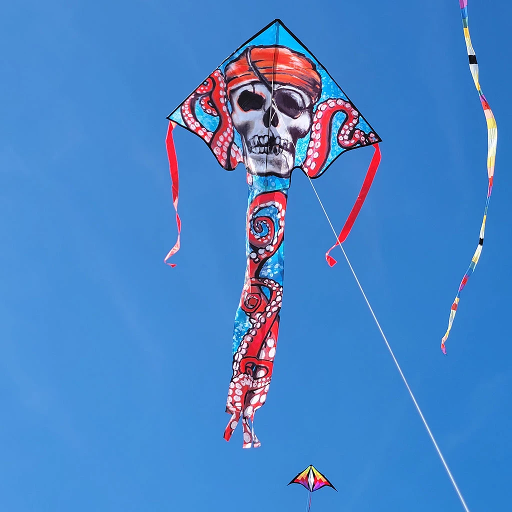 Kites Premier Kites Large Easy Flyer Kite - Pirate Octopus 3 Kites Premier Kites Large Easy Flyer Kite - Pirate Octopus