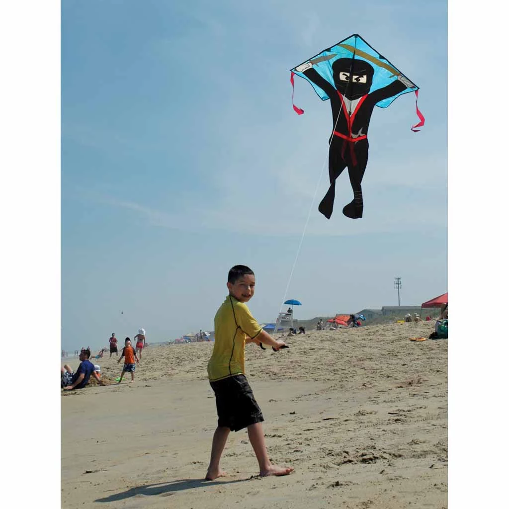 Kites Premier Kites Large Easy Flyer Kite - Flying Ninja 3 Kites Premier Kites Large Easy Flyer Kite - Flying Ninja