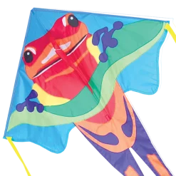 Kites Jumbo Easy Flyer Kite - Poison Dart