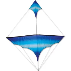 Collections Kites Collections Canard Kite - Cool