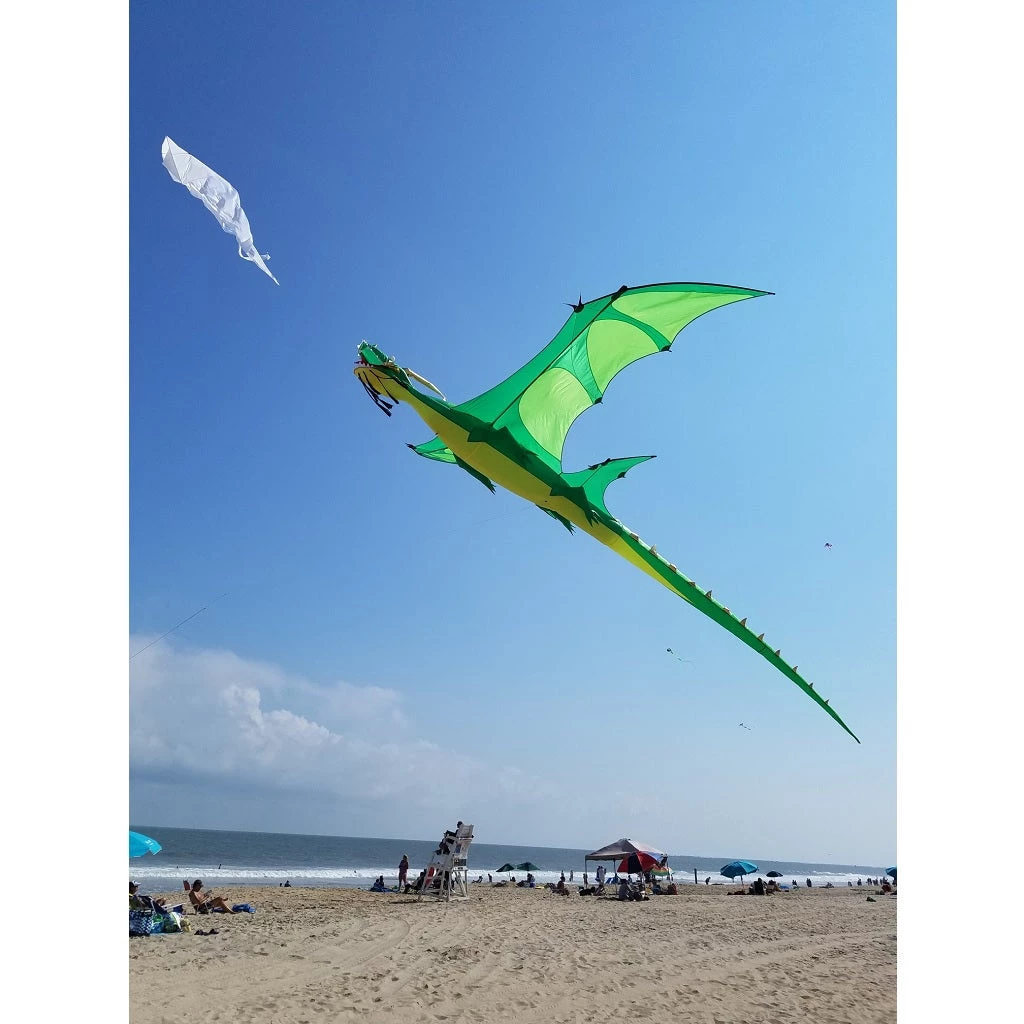 Collections Kites Giant Dragon Kite - Green 3 Collections Kites Giant Dragon Kite - Green