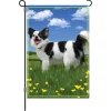 Accent Home & Garden 12 In. Flag - Panda The Chihuahua