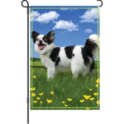 Accent Home & Garden 12 In. Flag - Panda The Chihuahua