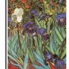 Accent Home & Garden 12 In. Flag - Van Gogh Irises
