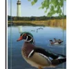 Accent Home & Garden 12 In. Flag - Wood Ducks Accent