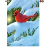 Accent Home & Garden 28 In. Flag - Winter Glow Cardinal