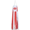 Accent Home & Garden Windsock - Canada