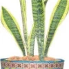 Accent Home & Garden - Sale Accent Flower Pot Cover - Waikiki Beach