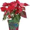 Accent Home & Garden - Sale Flower Pot Cover - Glitter Floral Accent
