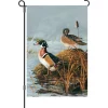 Accent Home & Garden 12 In. Flag - Steamy Wood Ducks